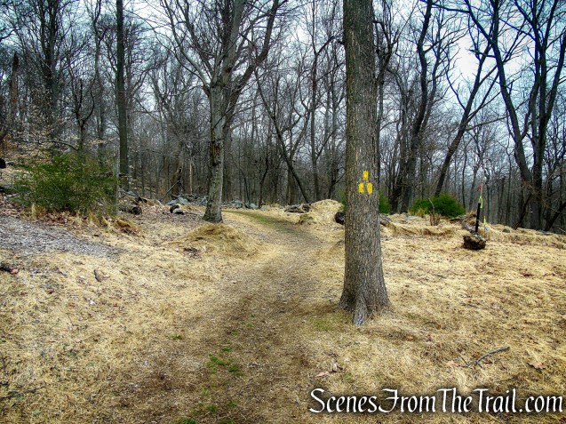 Yellow Trail - Taxter Ridge Park Preserve