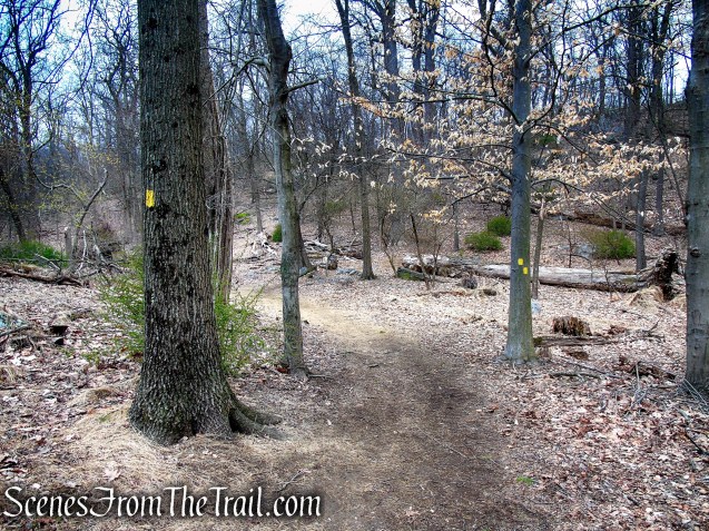 Yellow Trail - Taxter Ridge Park Preserve