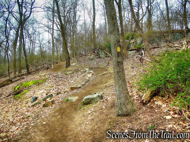 Yellow Trail - Taxter Ridge Park Preserve
