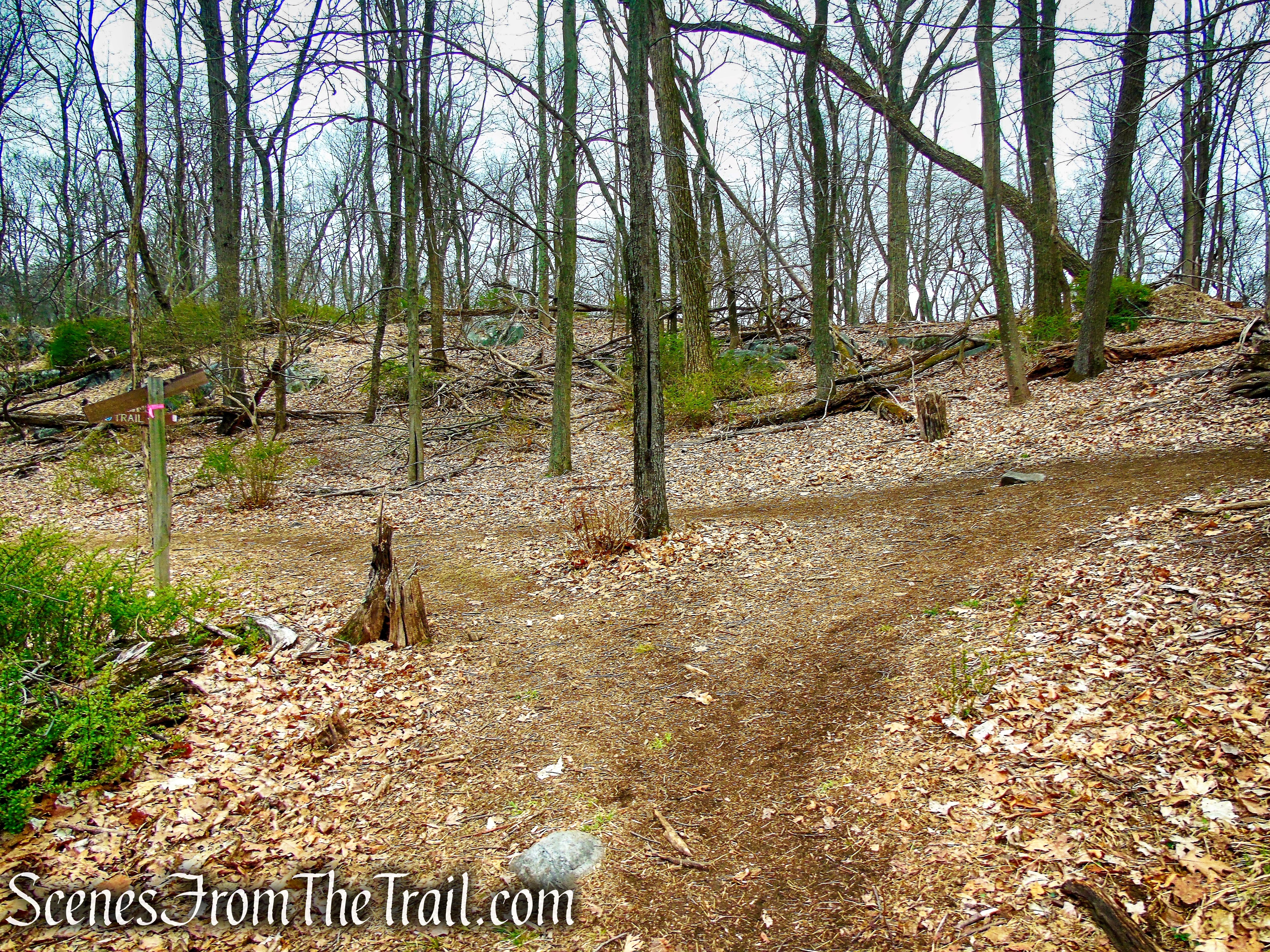 terminus of Yellow Trail