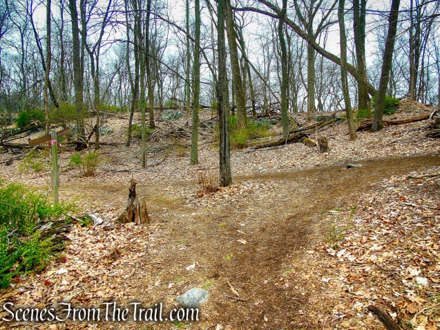 terminus of Yellow Trail