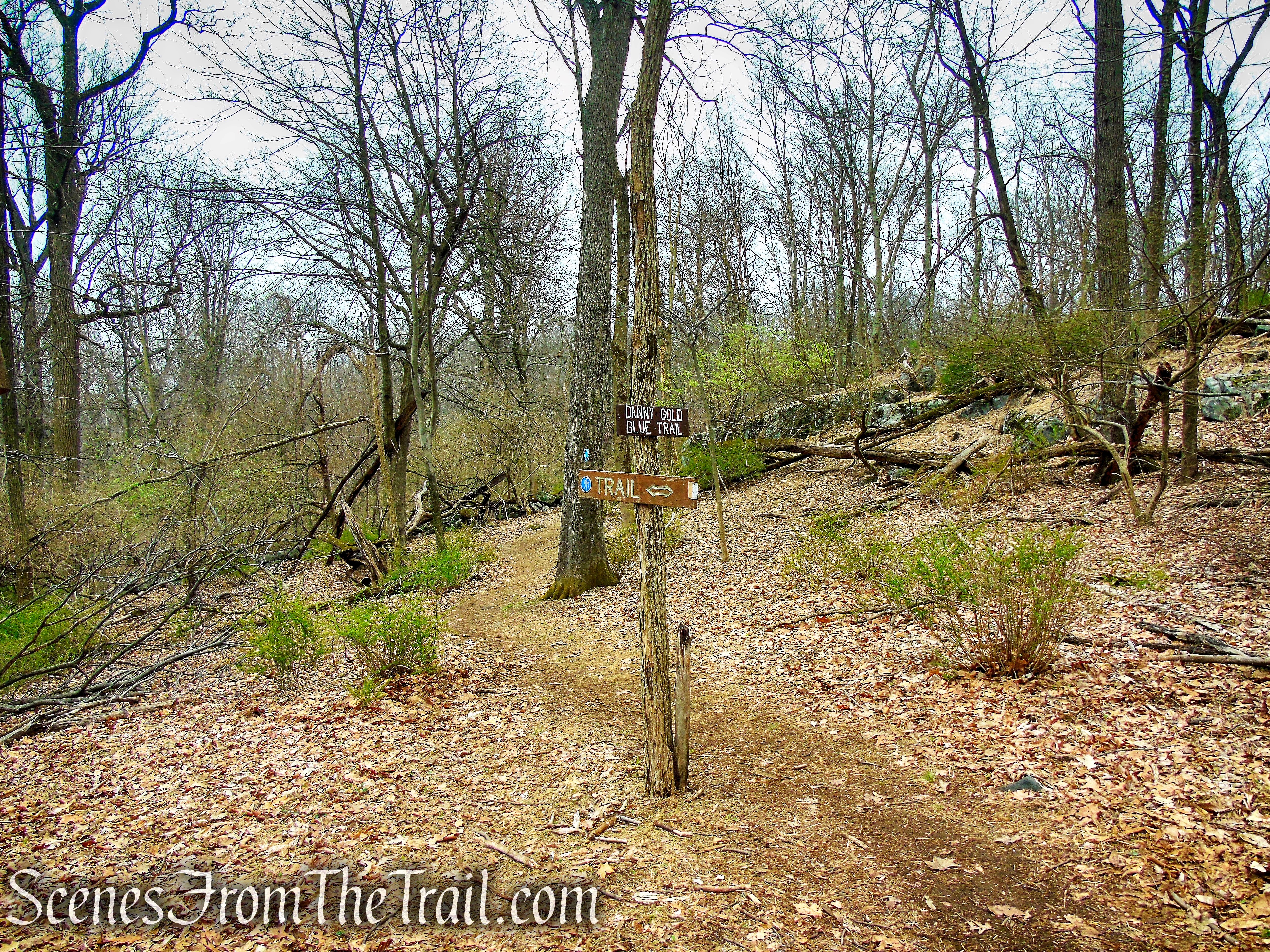 turn left on Blue Trail