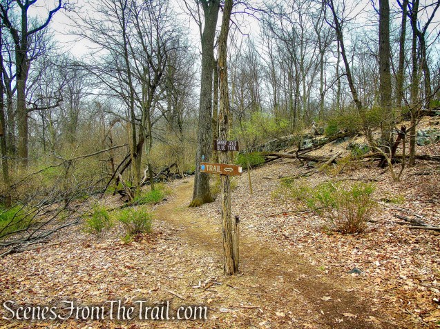 turn left on Blue Trail