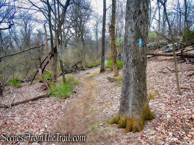 Blue Trail - Taxter Ridge Park Preserve