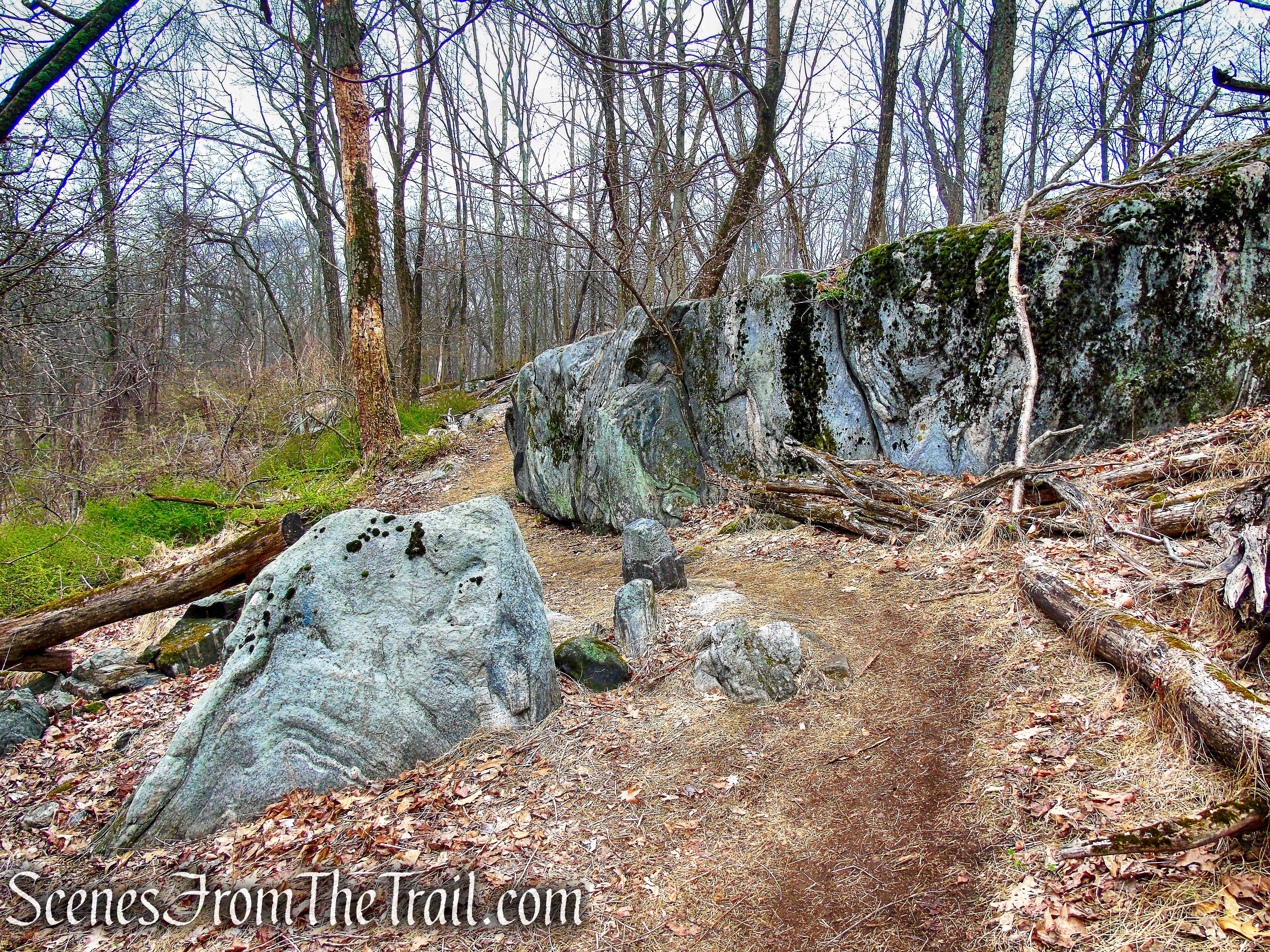 Blue Trail - Taxter Ridge Park Preserve