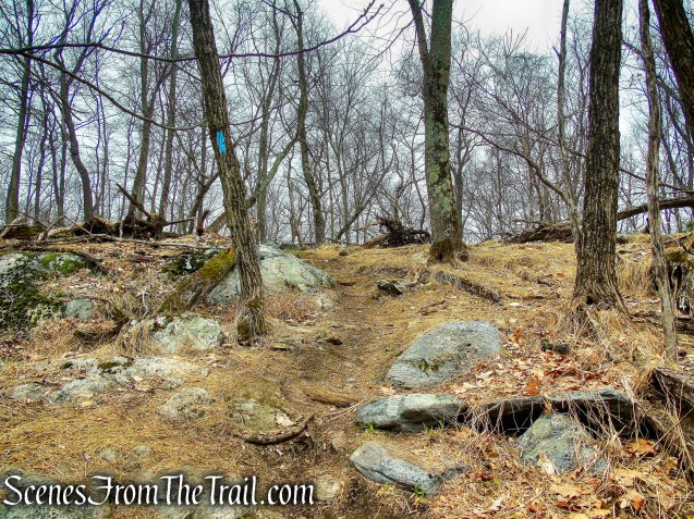 Blue Trail - Taxter Ridge Park Preserve