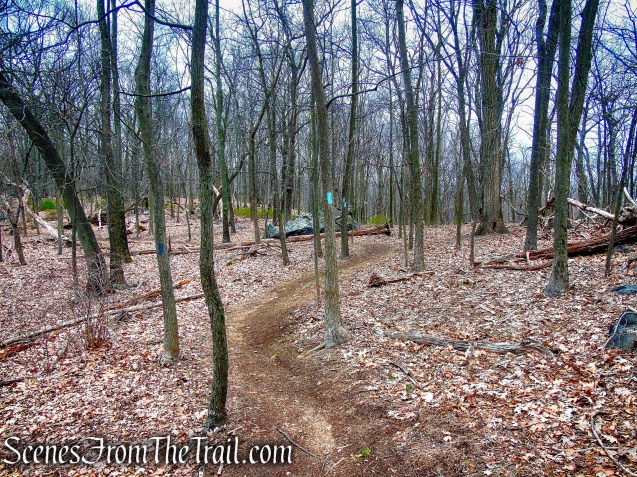 Blue Trail - Taxter Ridge Park Preserve