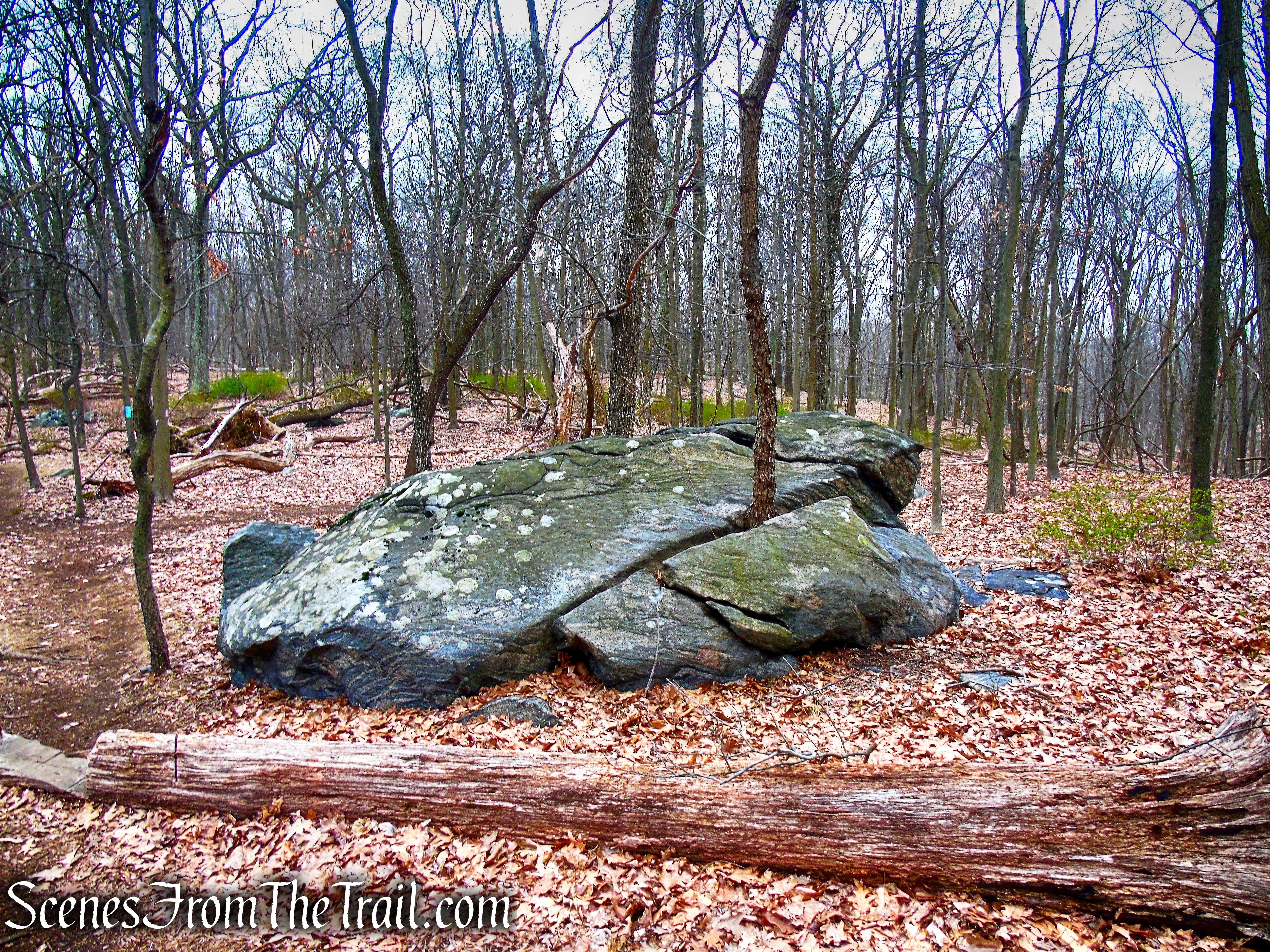 Blue Trail - Taxter Ridge Park Preserve