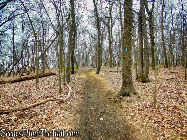 Blue Trail - Taxter Ridge Park Preserve