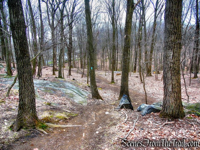 Blue Trail - Taxter Ridge Park Preserve