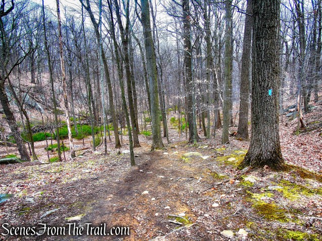 Blue Trail - Taxter Ridge Park Preserve
