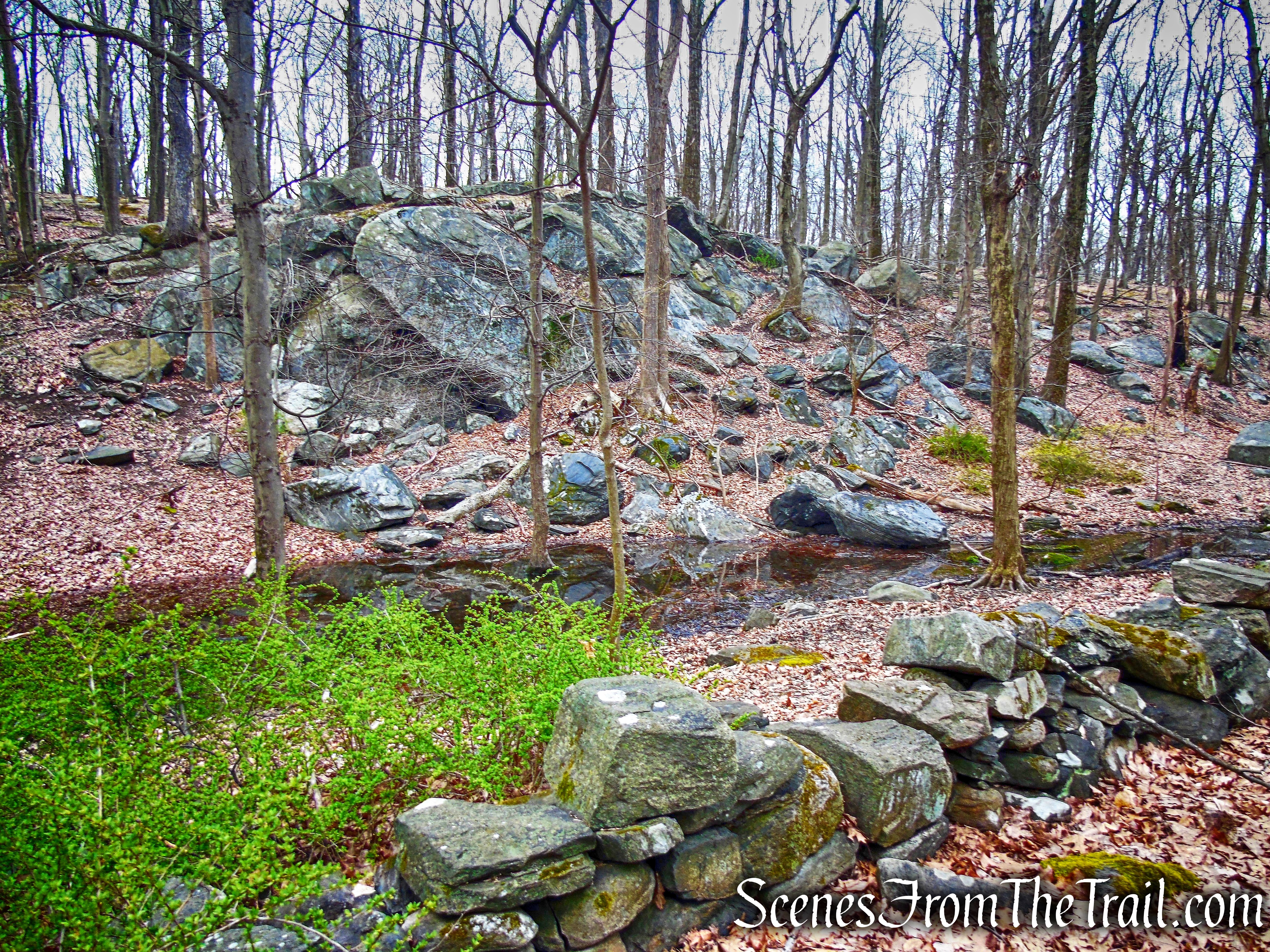 Blue Trail - Taxter Ridge Park Preserve