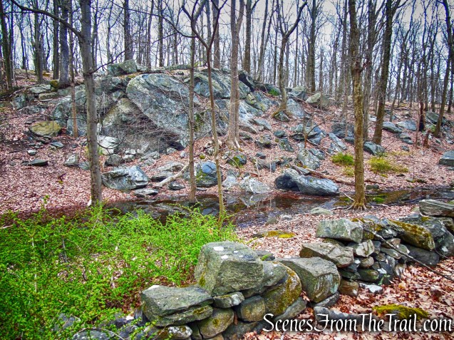 Blue Trail - Taxter Ridge Park Preserve