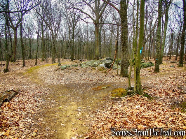 Blue Trail - Taxter Ridge Park Preserve