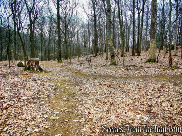 Blue Trail - Taxter Ridge Park Preserve
