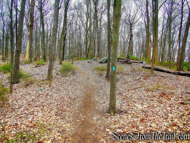 Blue Trail - Taxter Ridge Park Preserve