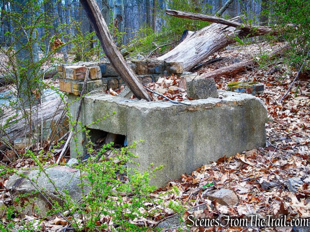 off trail ruins - Taxter Ridge Park Preserve