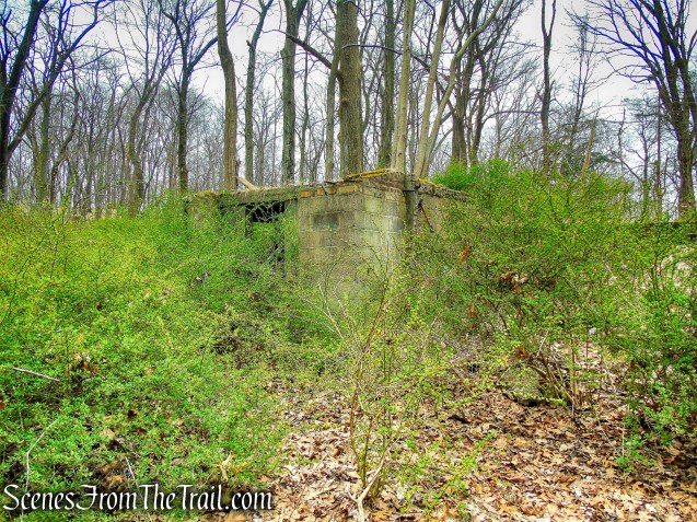 off trail ruins - Taxter Ridge Park Preserve