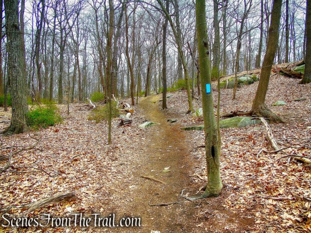 Blue Trail - Taxter Ridge Park Preserve