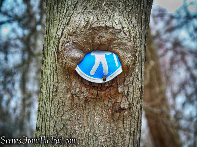 Blue Trail - Taxter Ridge Park Preserve