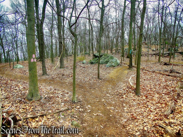 turn left on Pink Trail