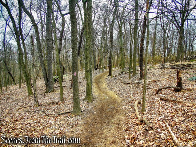 Pink Trail - Taxter Ridge Park Preserve