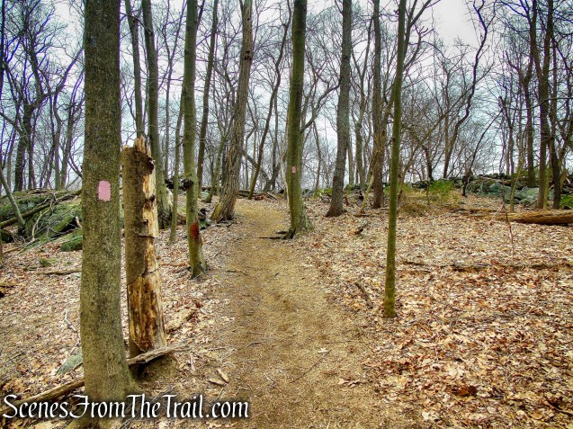 Pink Trail - Taxter Ridge Park Preserve