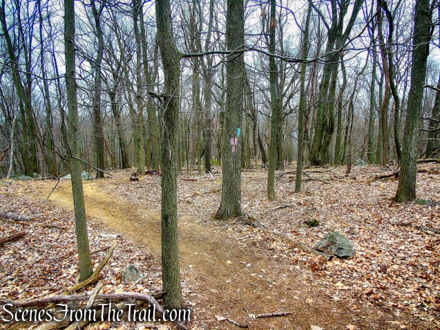 terminus of Pink Trail