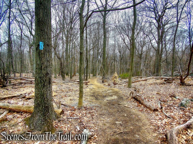 Blue Trail - Taxter Ridge Park Preserve