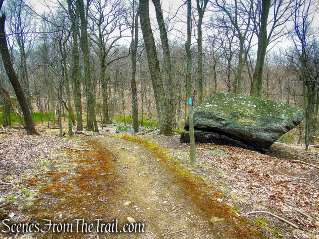 Blue Trail - Taxter Ridge Park Preserve