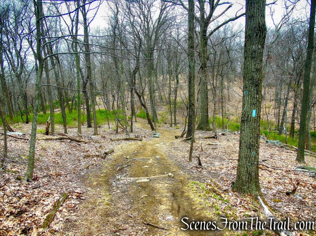 Blue Trail - Taxter Ridge Park Preserve