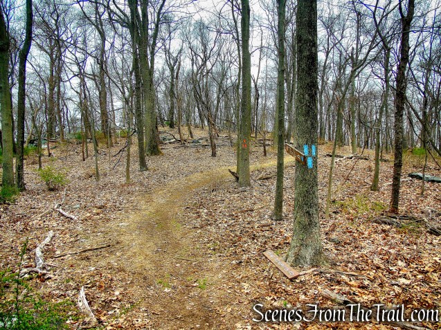 terminus of Blue Trail