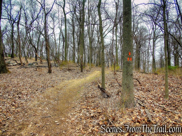 Orange Trail - Taxter Ridge Park Preserve
