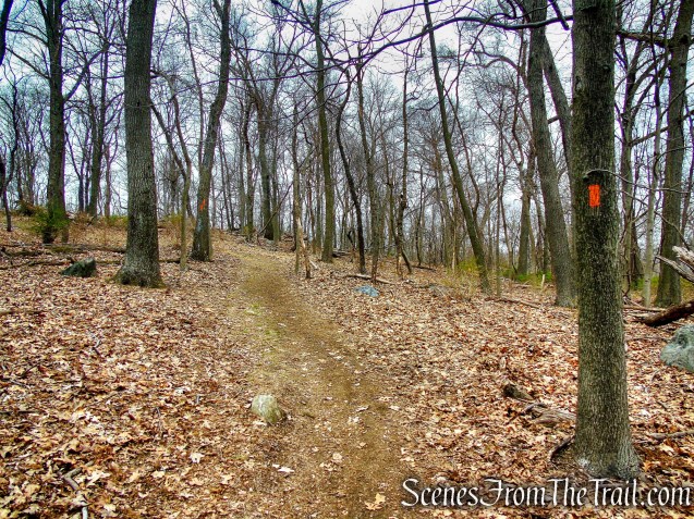 Orange Trail - Taxter Ridge Park Preserve