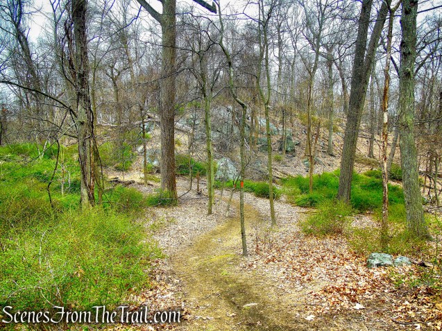 Orange Trail - Taxter Ridge Park Preserve
