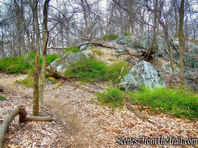 Orange Trail - Taxter Ridge Park Preserve