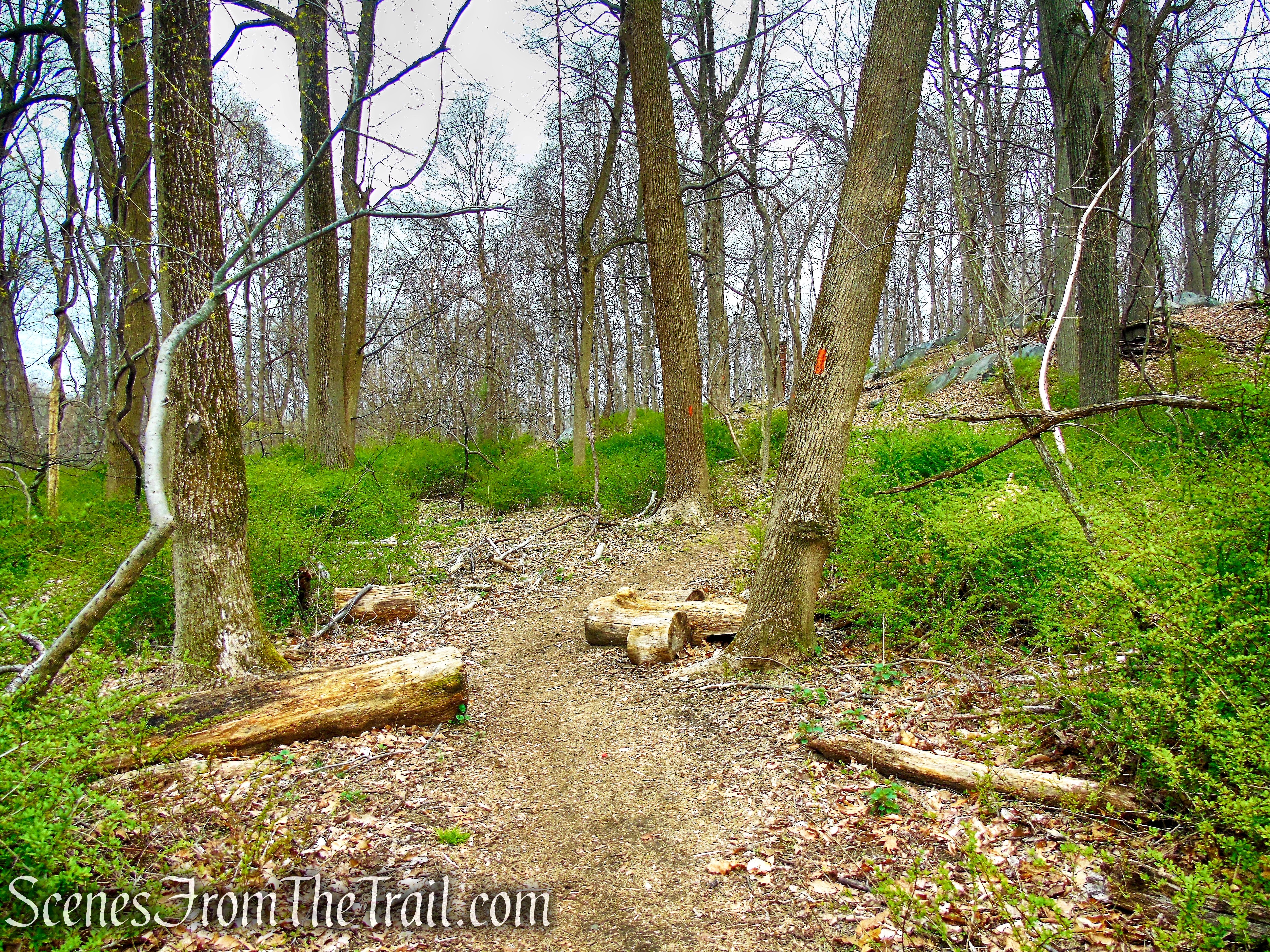 Orange Trail - Taxter Ridge Park Preserve