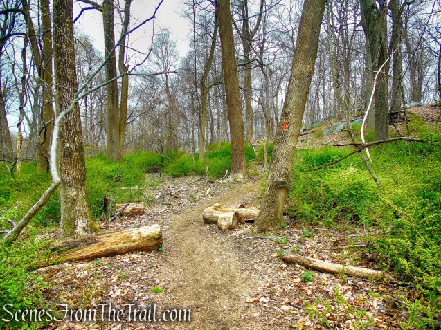 Orange Trail - Taxter Ridge Park Preserve