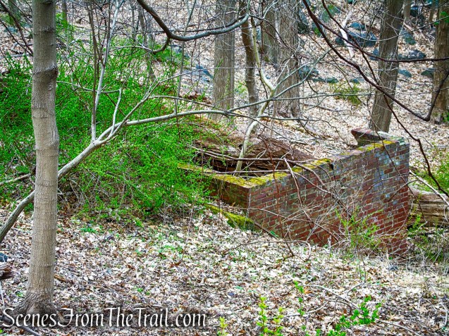 Woody Crest ruins - Taxter Ridge Park Preserve