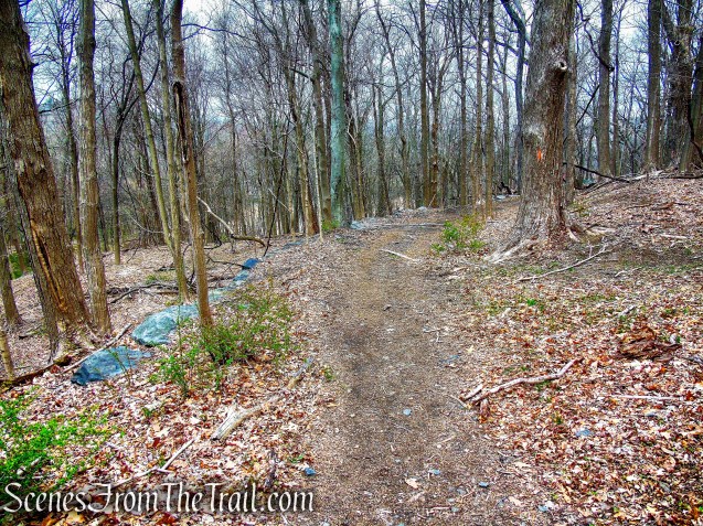 Orange Trail - Taxter Ridge Park Preserve