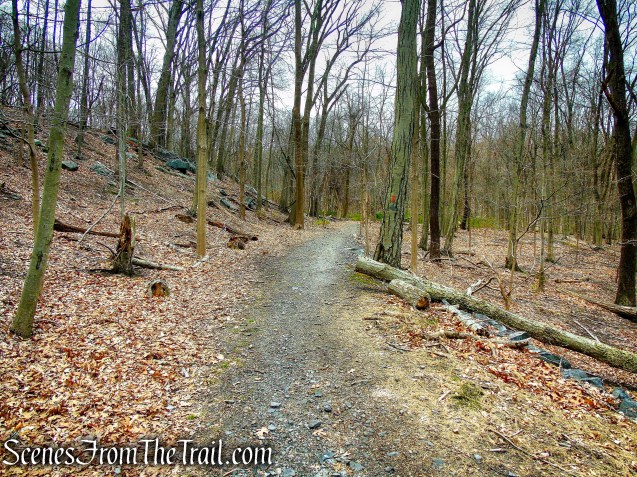 Orange Trail - Taxter Ridge Park Preserve
