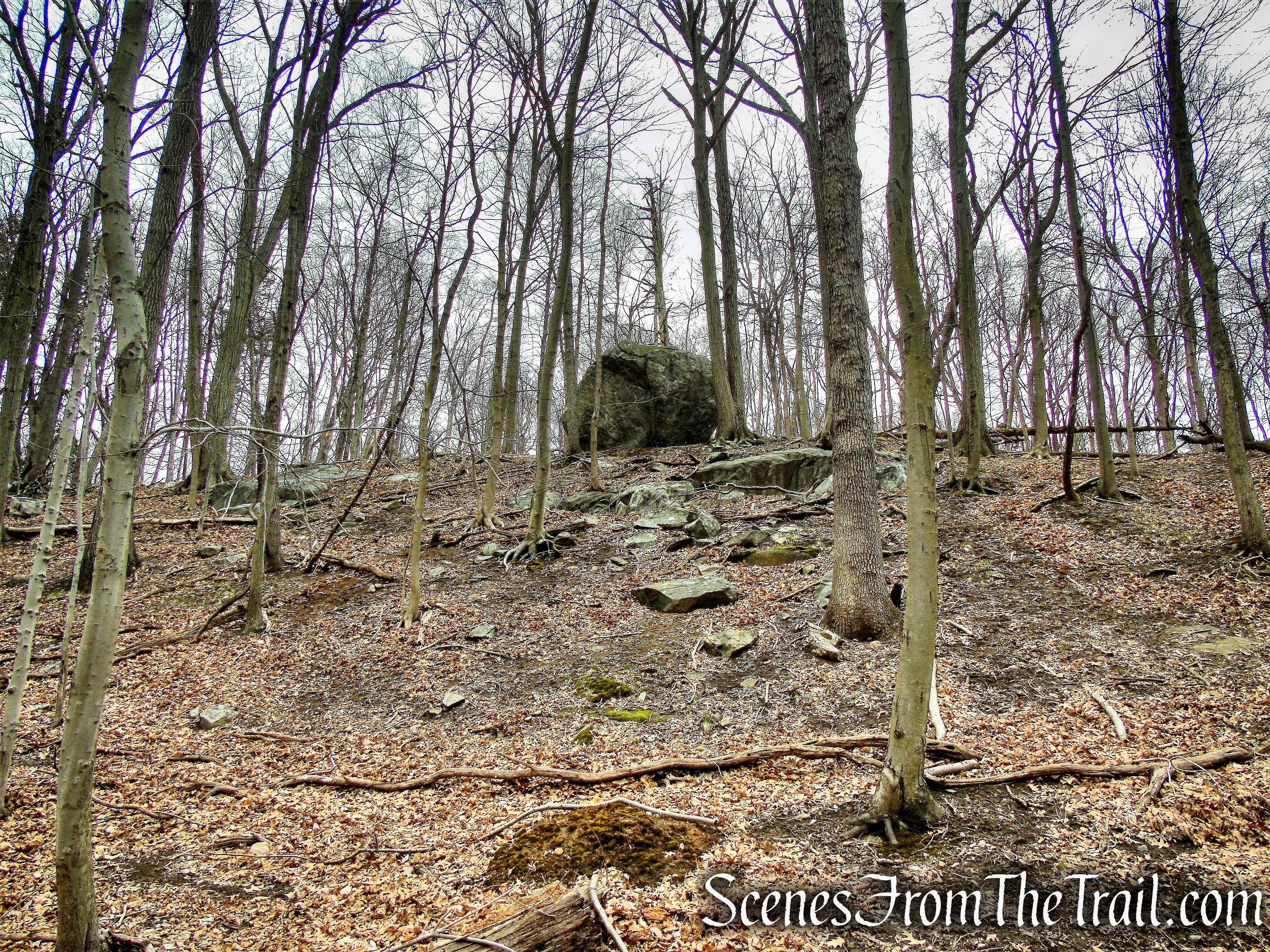 Orange Trail - Taxter Ridge Park Preserve