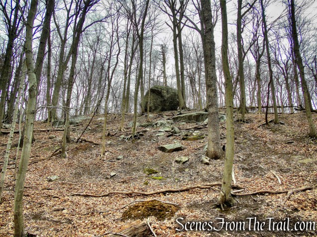Orange Trail - Taxter Ridge Park Preserve