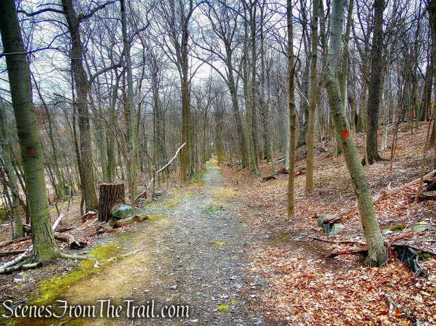 Orange Trail - Taxter Ridge Park Preserve
