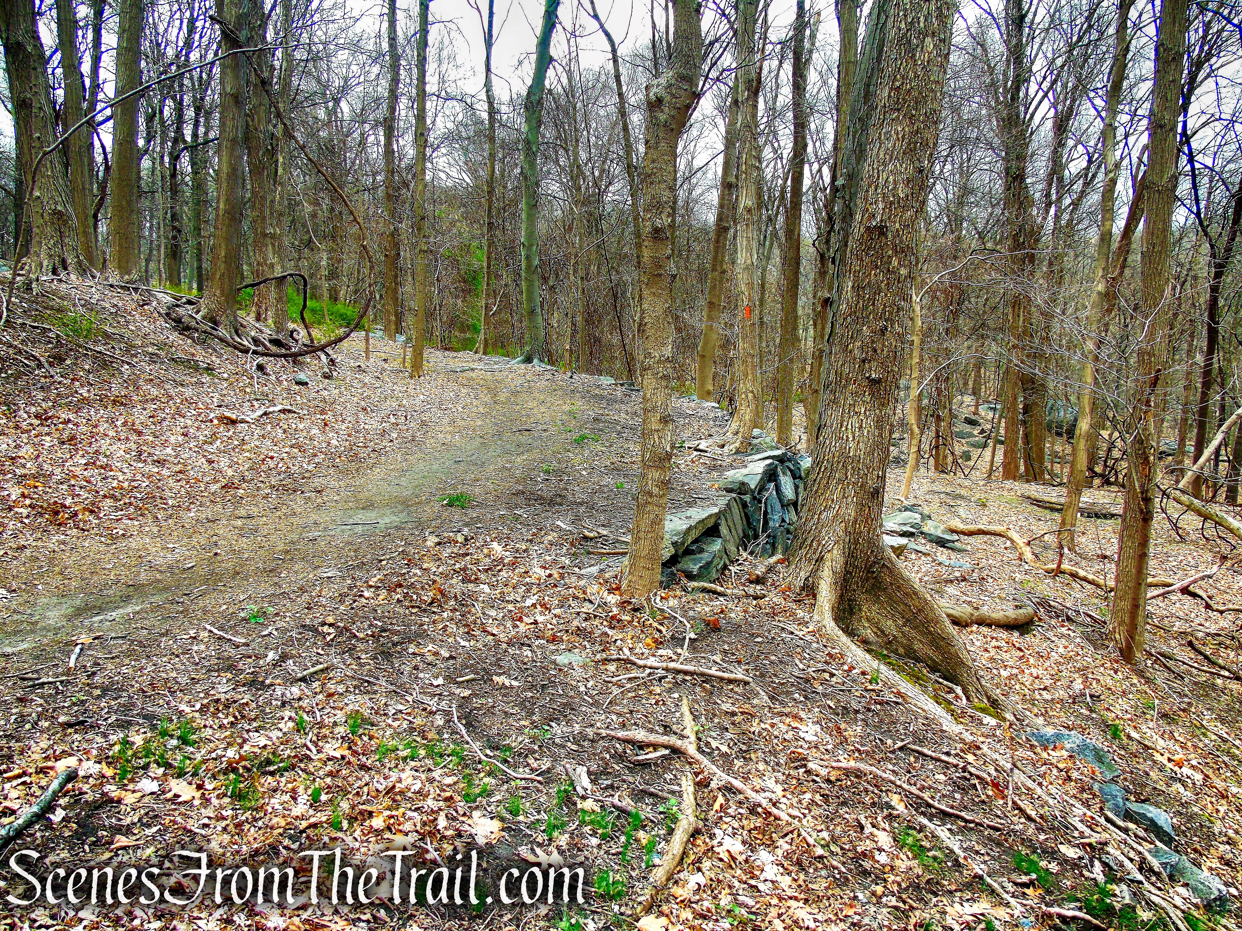 Orange Trail - Taxter Ridge Park Preserve