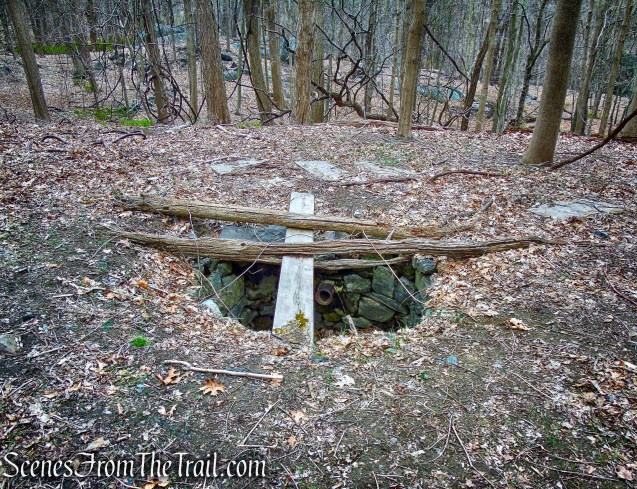 Woody Crest ruins - Taxter Ridge Park Preserve