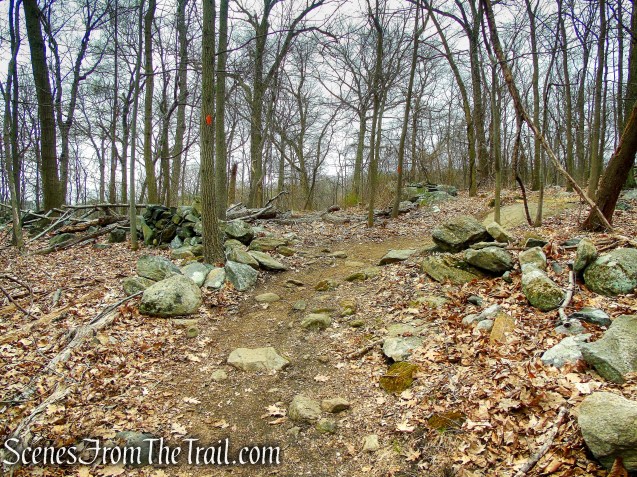 Orange Trail - Taxter Ridge Park Preserve