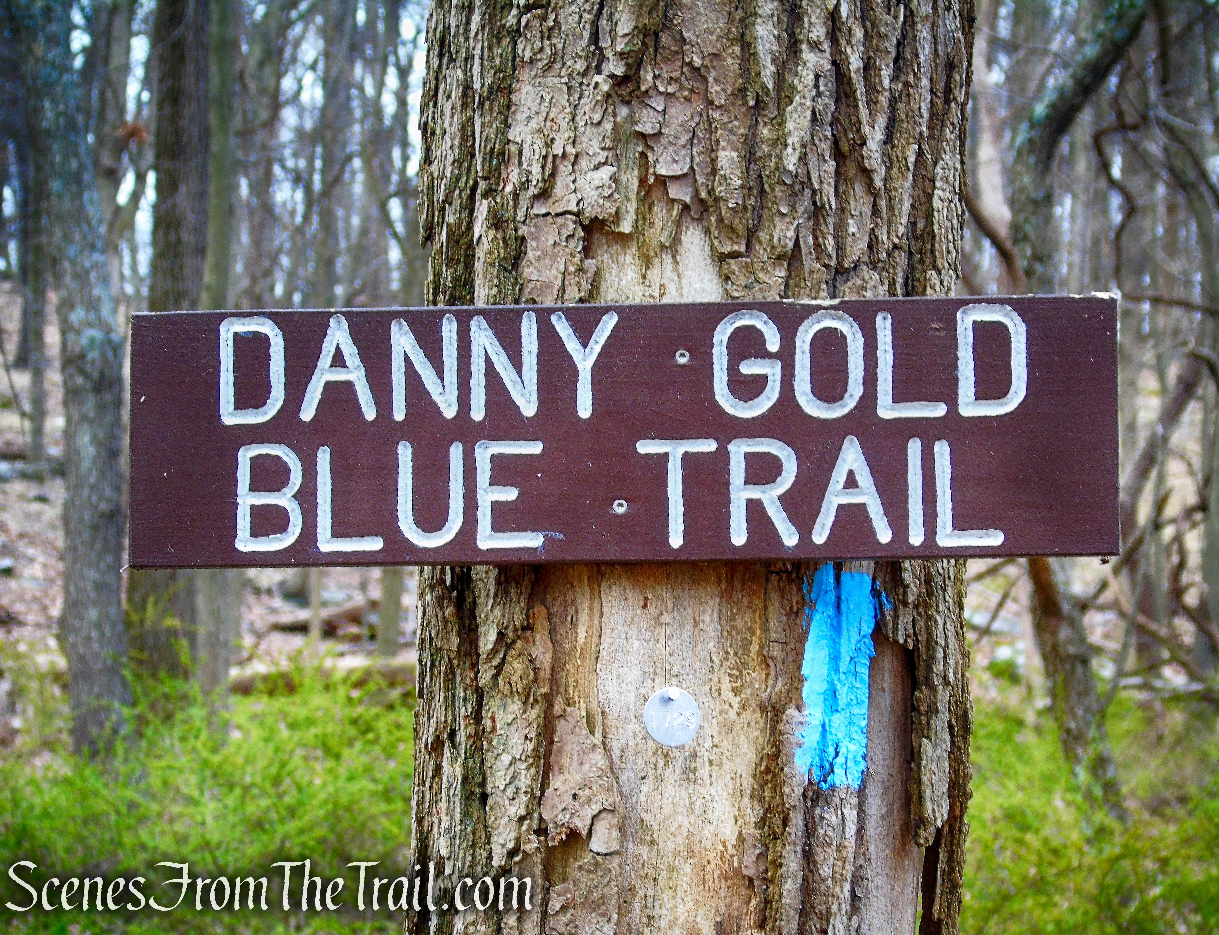 Blue Trail - Taxter Ridge Park Preserve