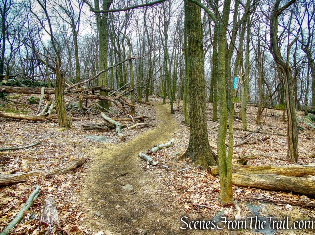 Blue Trail - Taxter Ridge Park Preserve