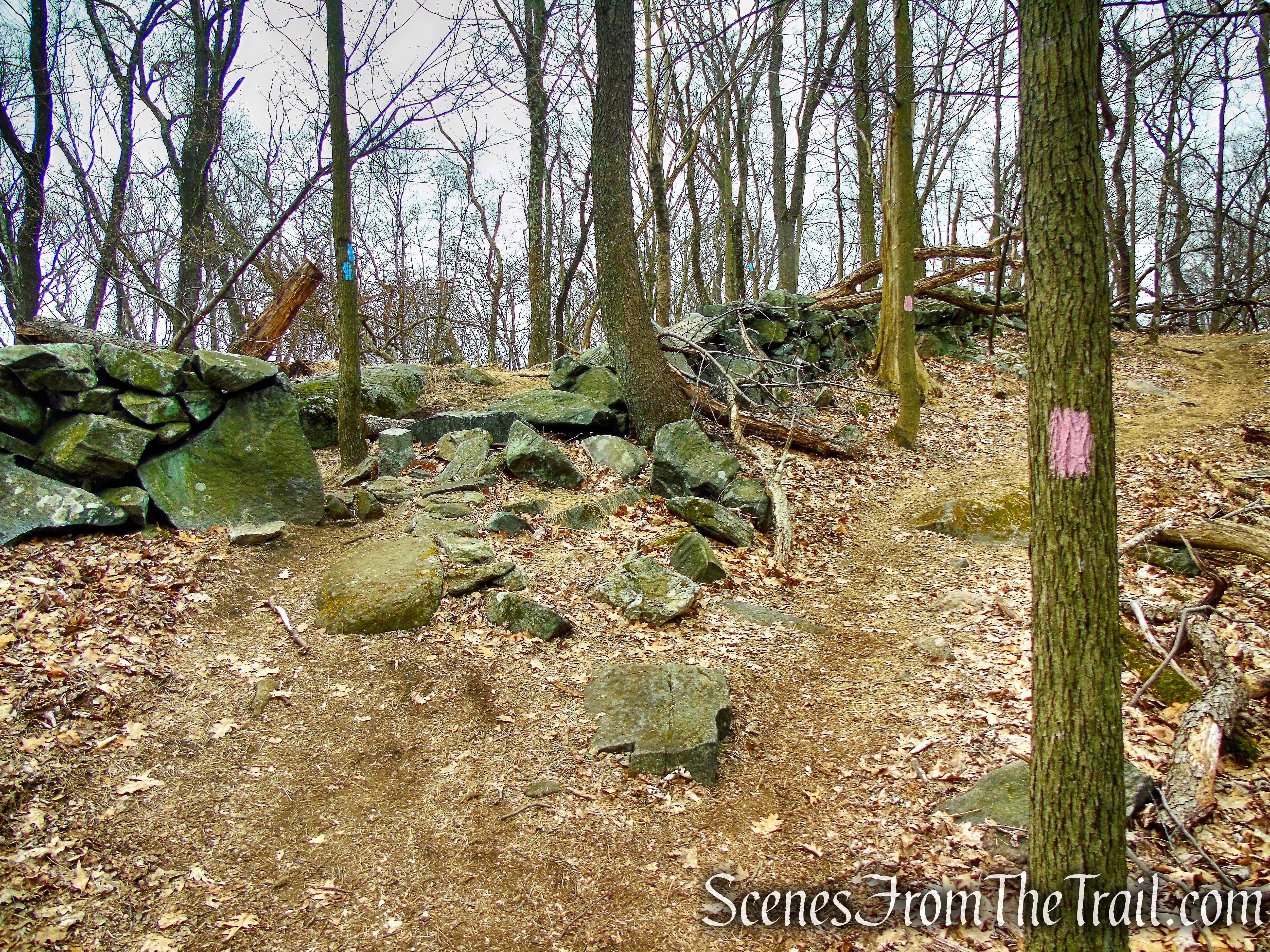 Blue Trail - Taxter Ridge Park Preserve